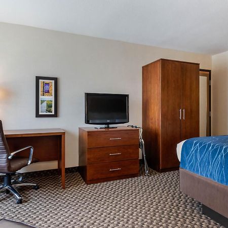 Comfort Inn & Suites Near Route 66 Lincoln Værelse billede