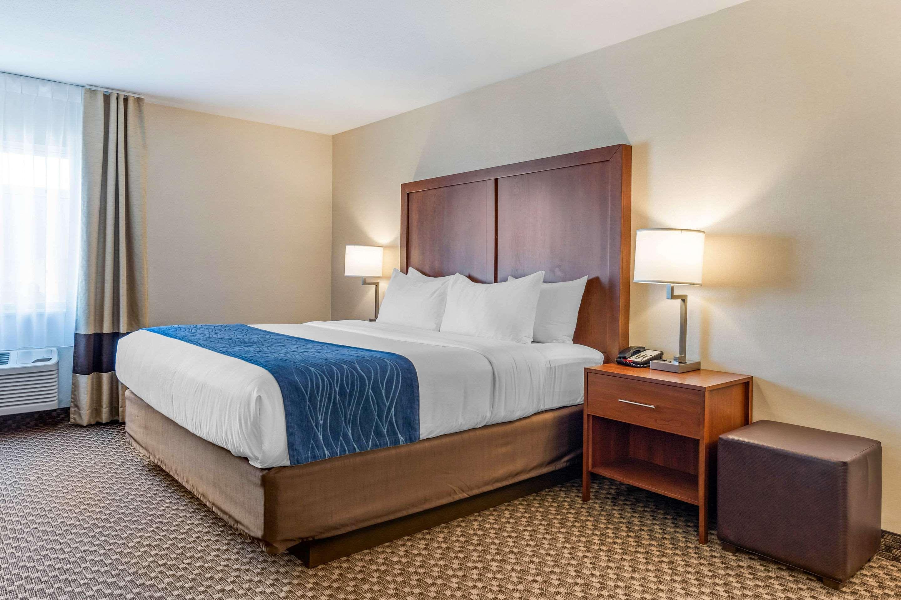 Comfort Inn & Suites Near Route 66 Lincoln Eksteriør billede
