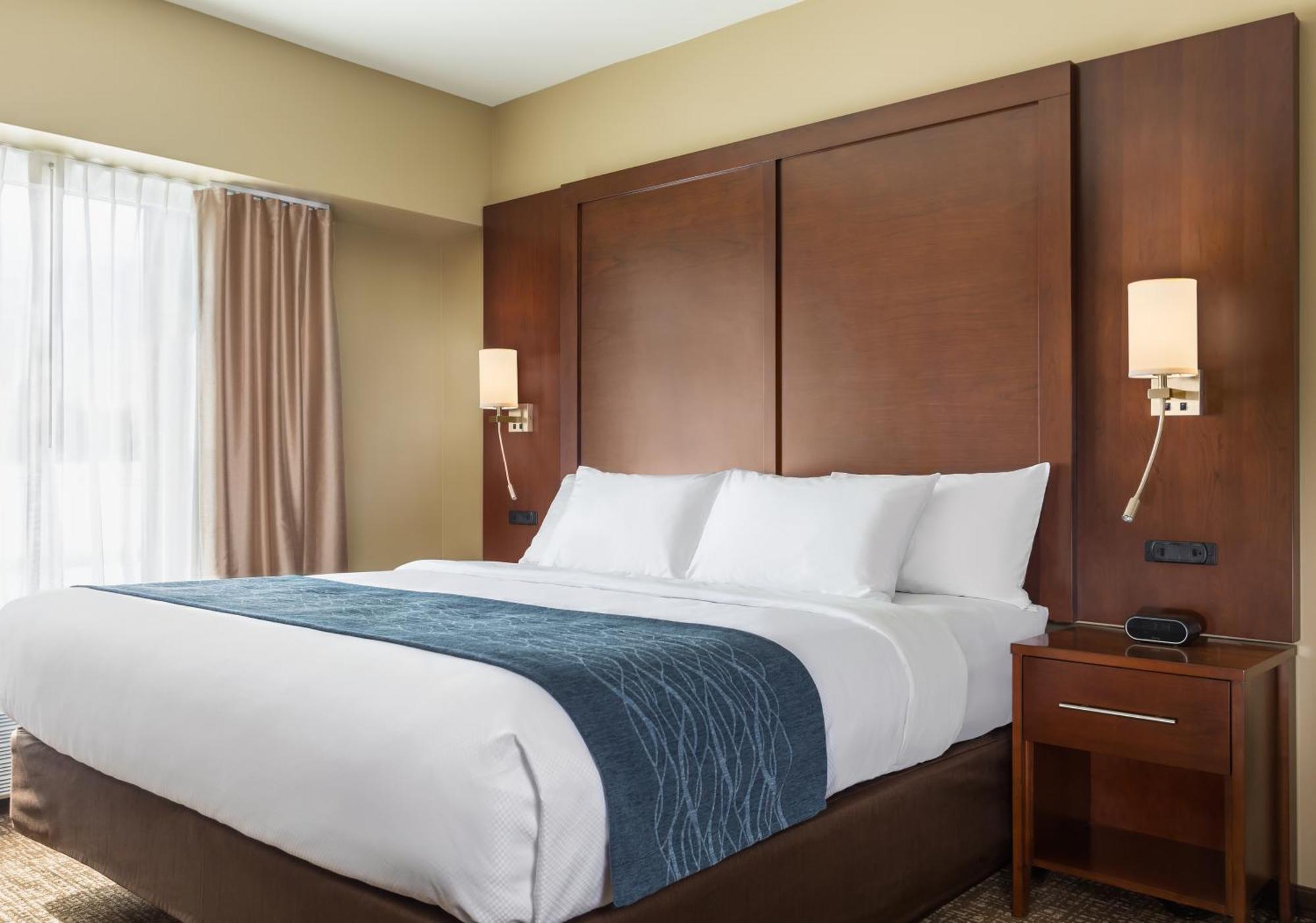 Comfort Inn & Suites Near Route 66 Lincoln Værelse billede