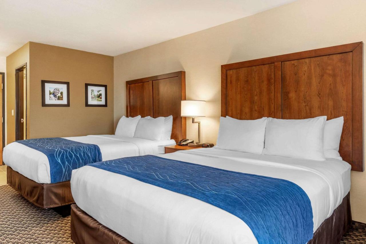 Comfort Inn & Suites Near Route 66 Lincoln Eksteriør billede